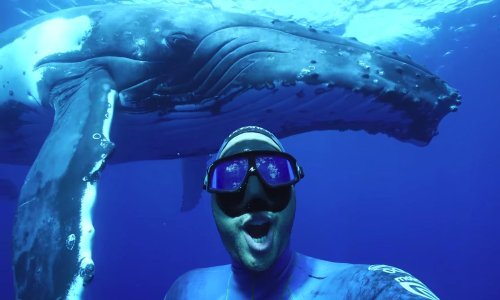 Oraspoložite se uz dnevnu dozu zabavnog i bizarnog interneta