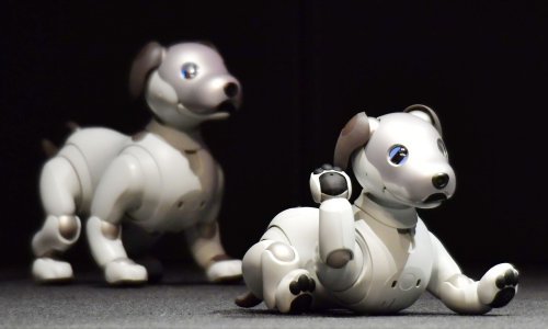 Sonyjev novi pas robot kreće u pohod na svijet