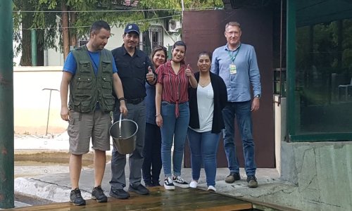 Saznajte zašto se novorođena gibonica u Zagrebačkom ZOO-u zove Dora