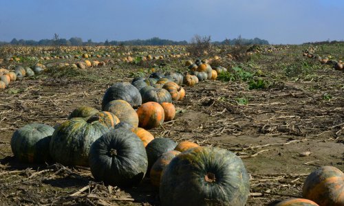 Umjesto zvona, u đakovačkoj srednjoj školi oglasio se - kombajn