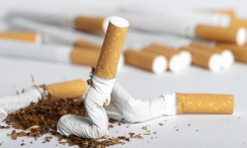 Brođaninu policija i carina pronašli gotovo 900 šteka prokrijumčarenih cigareta