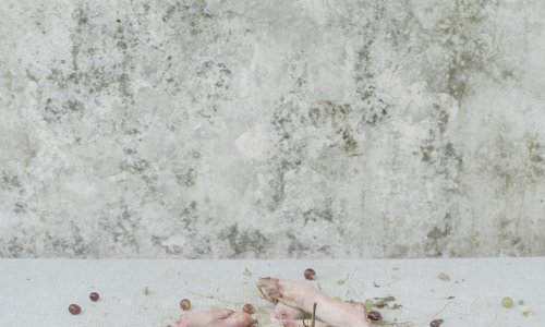 Studenti na ADU predstavljaju se serijama fotografija 'Homesick' i 'Prolaz za životinje'