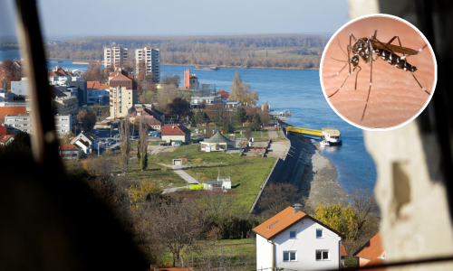 Virusom Zapadnog Nila zaražena 6-godišnjakinja iz Vukovara