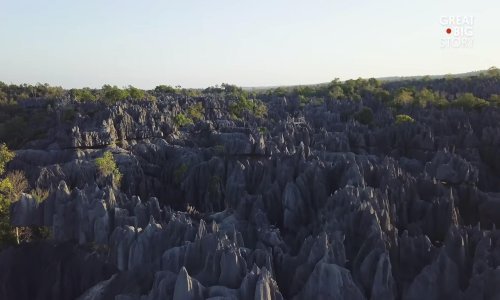 Zastanite za trenutak i divite se kamenoj šumi na Madagaskaru