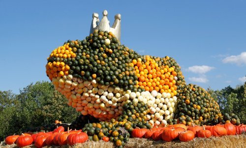 Izložba bundeva u Njemačkoj ima fantastične eksponate