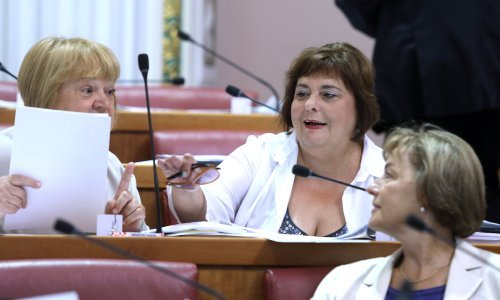 Nakon moždanog udara, u Sabor se vratila Nada Turina-Đurić