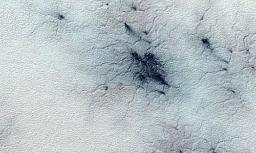 Zar je letjelica iz NASA-e zbilja snimila pauke na površini Marsa?