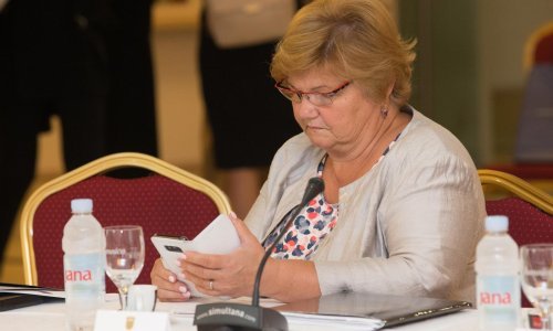 Murganić: Za Zakon o udomiteljstvu su glasali i HNS-ovi ministri