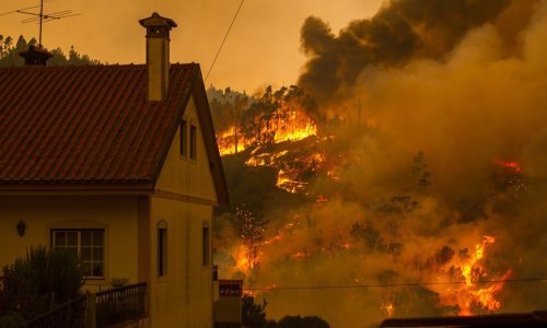 Državni i javni dužnosnici odgovarat će za ubojstvo nakon smrtonosnog šumskog požara