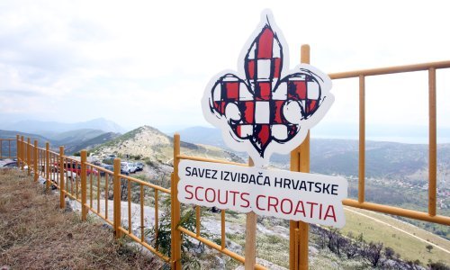 Najvećoj akciji pošumljavanja Dalmacije pridružio se i Greenpeace