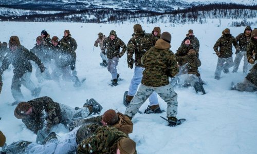Ovo je najveći problem NATO-a: Pogledajte što rade Britanci! Jedva mogu složiti mehaniziranu diviziju