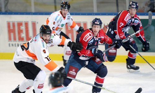 Nova blamaža Medveščaka; pred svojim su navijačima 'medvjedi' primili čak 13 golova