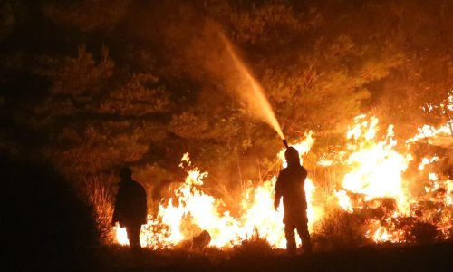 [FOTO/VIDEO] Pogledajte katastrofalne posljedice nedavnog požara na Pelješcu