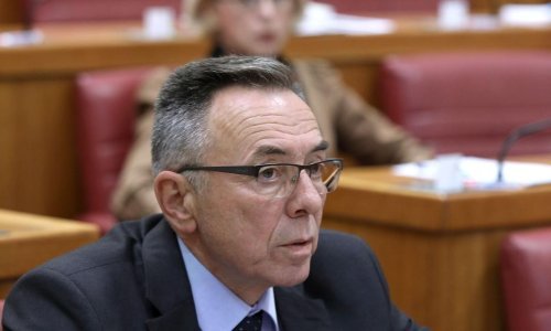 Batinić: Ne prihvate li naš amandman, bit ćemo suzdržani oko Zakona o udomiteljstvu