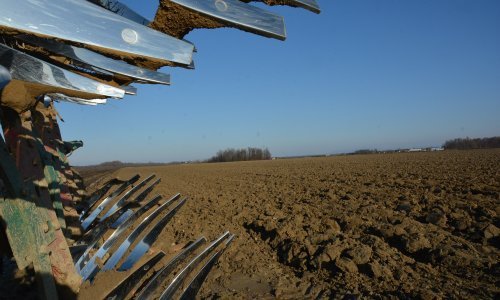 I cijene poljoprivrednih kvadrata lete u nebo: Iznenadit će vas razlike u Hrvatskoj, ali i Europi
