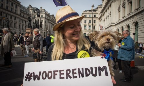 Vauferendum: Ljudi i psi zajedno protiv brexita