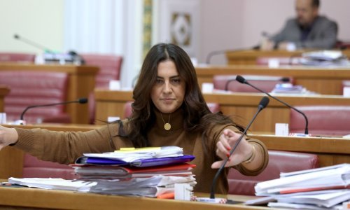 Zastupnica Mosta u Saboru progovorila o najgorih 30 minuta provedenih na Hitnoj pomoći