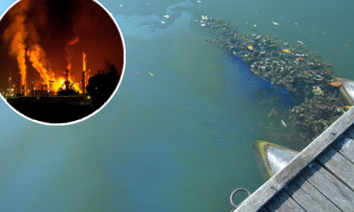 Ovo je naftna mrlja na Savi za koju načelnik Bosanskog Broda tvrdi da je izmišljotina