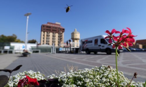 Vukovar se sprema za veliki prosvjed koji je podijelio javnost: Stiže 20 tisuća ljudi?