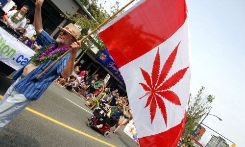 Kanada u srijedu legalizira marihuanu