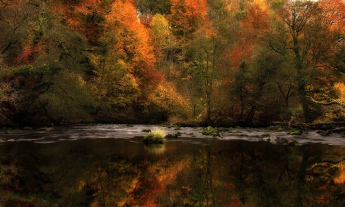 Odmorite oči uz najljepše odraze u prirodi