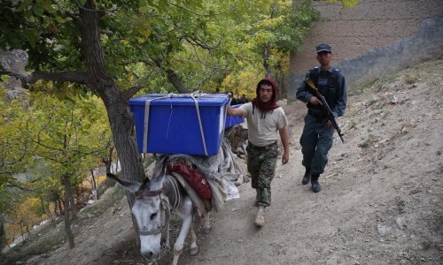 U izbornom kaosu u Afganistanu do sada 20-ak mrtvih