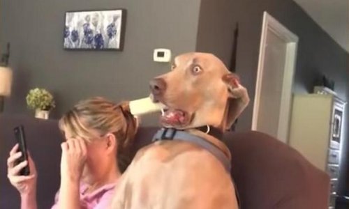 Zabavite se uz kompilaciju bizarnih nezgoda