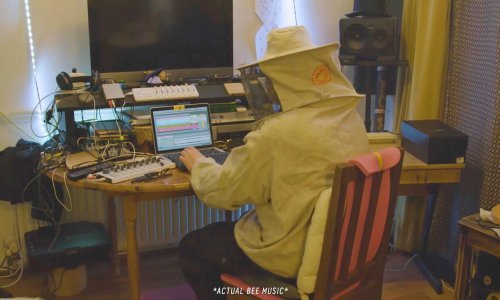 Pčelar koristi svoje ljubimice kako bi stvarao glazbu