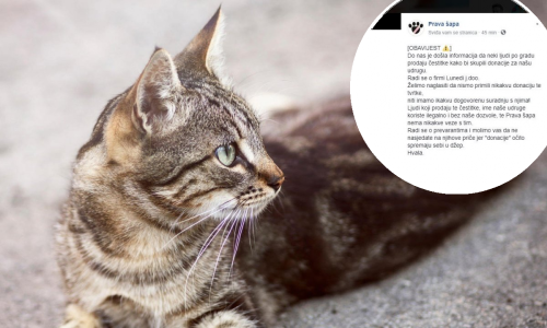 Lažno se predstavljaju kao članovi udruge Prava šapa i skupljaju donacije za napuštene životinje