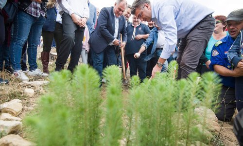 Premijer Plenković u Kučinama posadio pitomi bor, pomogao mu Kuščević