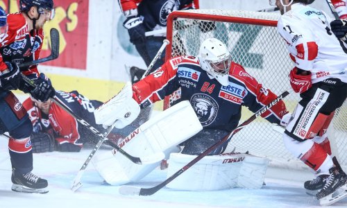 Medveščakov crni niz stigao do 10; prvak Bolzano natrpao 'medvjede'