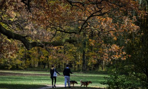 Kakvo je vrijeme pred nama za vikend? Evo što kaže prognoza