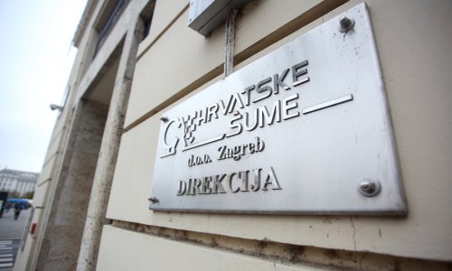 Hrvatske šume o prosvjedu Živog zida: To je performans i pokušaj skupljanja političkih bodova