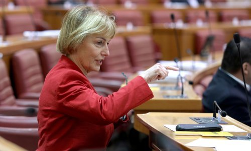 Pusić: Dvije trećine Hrvata u BiH nije htjelo glasovati za Čovića