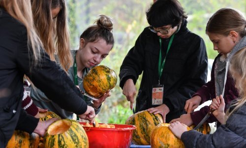 U Zoološkom vrtu grada Zagreba održana tradicionalna bundevijada