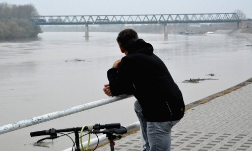 Sava u Slavonski brod donijela brdo smeća