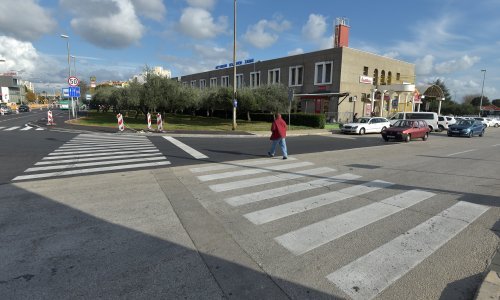 Pogledajte pijanu 'zebru' u Zadru