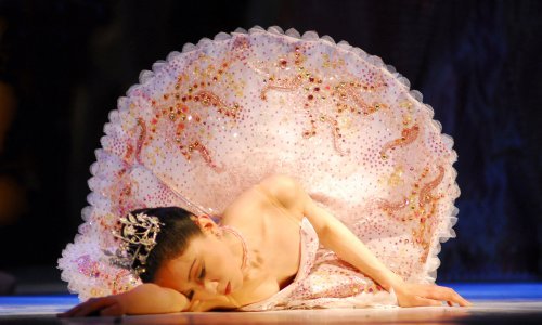 40 godina kazališta kroz umjetničku fotografiju