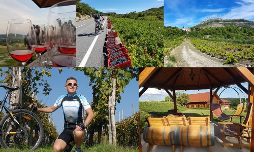 Naš bloger preporučuje kako proslaviti Martinje na dva kotača