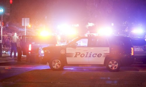 Ubojica s festivala češnjaka u Kaliforniji imao je 19 godina