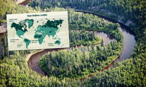 Samo pet država kontrolira 70 posto nedirnute divljine u svijetu, ključne za opstanak