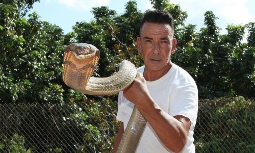 Upoznajte čovjeka koji svoj dom dijeli sa 60 otrovnica