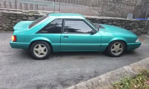 Zamislite da vam ovako objave hoćete li dobiti sina ili kćer