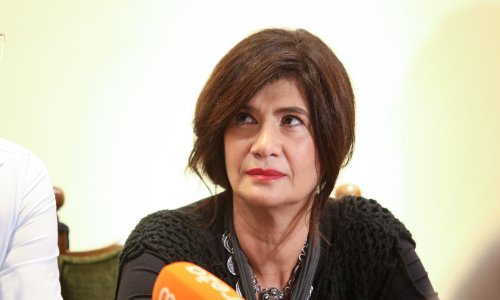 Julijana Matanović održala predavanje o povijesnim romanima Nedjeljka Fabrija