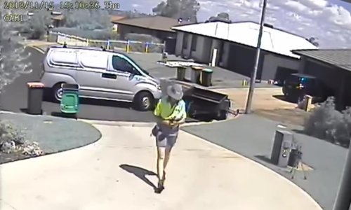 Ovako šašavu dostavu pošte još niste vidjeli