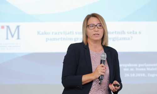 Maletić: Još nismo razgovarali o listama za Europski parlament