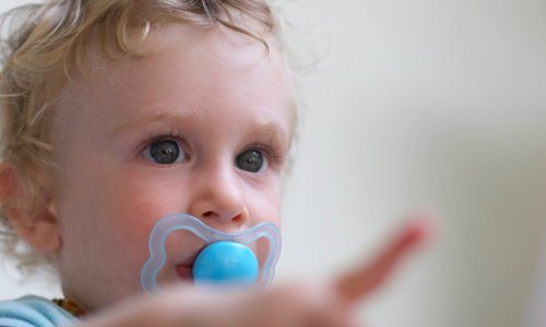 Otkriće znanstvenika iznenadit će protivnike dječjih duda