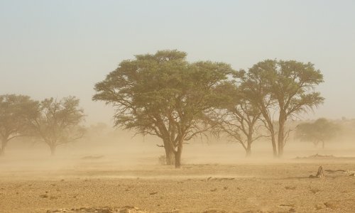 Pješčana oluja, snijeg i požar prouzročili kaos u istočnoj Australiji