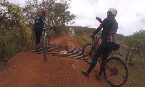 Bik protiv ljudi – tko će pobijediti?