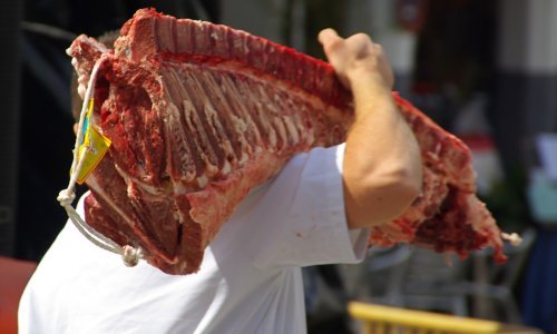 Afrička svinjska kuga nije se pojavila u Hrvatskoj